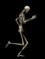[Image: bones.gif]